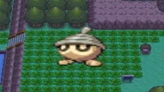 How to find Seedot in Pokemon Diamond and Pearl