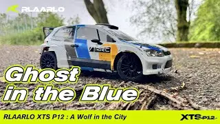 Ghost in the Blue:RLAARLO XTS P12