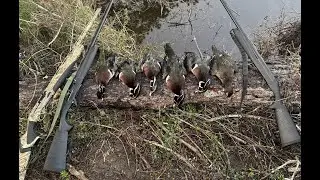 Duck Hunting an Alabama Wood Duck Feed Pond!