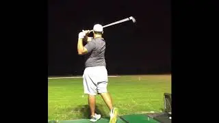 Stinger season