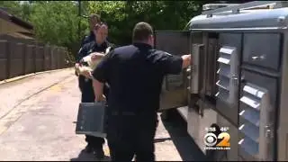 Dog Gets Happy Ending After Receiving False Death Sentence