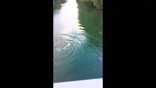 saut de 6 m&egrave;tre