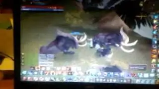 MOV_0038[1]