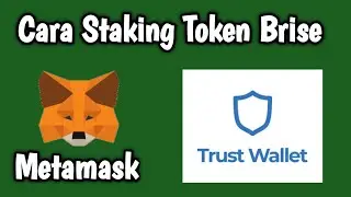 CRYPTO HUNTER || TUTORIAL / CARA STAKING BRISE DI TRUST WALLET ATAU METAMASK #brise #staking