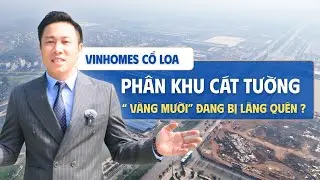 Vinhomes Cổ Loa : Phân Khu Cát Tường – “ Vàng Mười” Giá Tốt Nhưng Đang Bị Đánh Giá Thấp?
