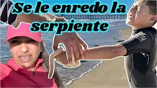 MI NIÑO SI SE ASUSTO😱DISFRUTANDOLAS ANTES DE QUE SE VAYAN MI MAMÁ FELIZ CON LAS GAVIOTAS! LIMPIANDO