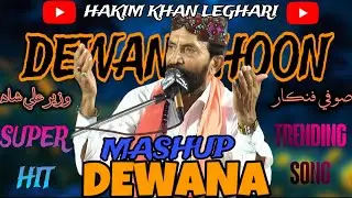 Deewana  Hoon  Deewana  | Syed  Wazir  Ali Shah  |  Kalam  |  Sufi Song |2025 