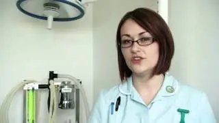 Study a Veterinary Nursing Apprenticeship at Duchy College
