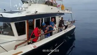 南油 - 遠少少的排位