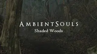 Ambient Souls - Shaded Woods | One Hour of Dark Souls Ambience and Atmosphere