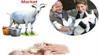 China Goat Milk Infant Formula Market by Manufacturers and Forecast 2022