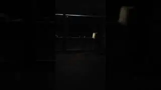 Attacking an opposom