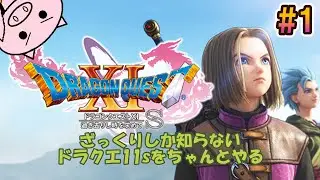 #1 ざっくり知識でやる『ドラクエ11s』