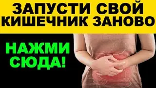 Тяжесть, запоры, вздутие? Запусти кишечник заново