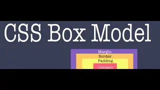8.  CSS box model