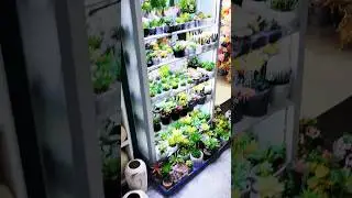 💸🧠🤑 Home Decoration 💥✈️🌎 #importexportchina #chinaproducts #automobile #chinesetoyfactory