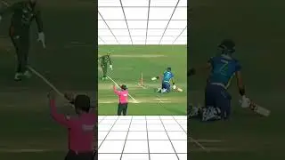 Best run out of cricket history 😱😱😱😱 #Cricket #CricketLovers #CricketHighlights #CricketFans