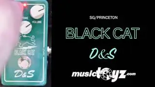 Black Cat D&S guitar pedal