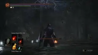 Dark Souls 3 - Location of the white trees (Hawk Ring)