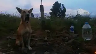Wangedigala To Adarakanda | 3 days