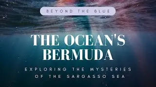 Beyond the Blue: Exploring the Mysteries of the Sargasso Sea
