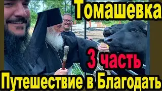Интервью с Архиепископом Фастовским Дамианом