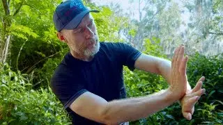 Wing Chun Solo Chi Sao Energy Drill&mdash;Core JKD Technique