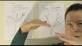 Sax Lesson 030 Tree Diagram : Practice with randomness!