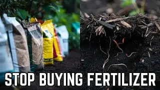 Fertilizer Companies HATE This Fall Soil Trick (Saves You $200/Year).