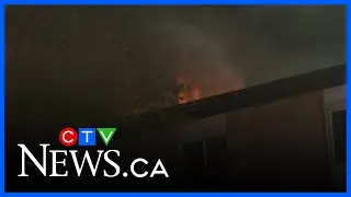 Cats rescued from apartment fire in Jasper Place neighbourhood