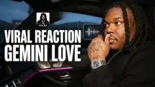 STENDED Reacts to 