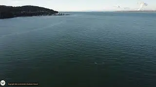 Orcas, Hale Passage, Lummi Reservation