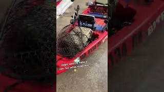 Jackson Bite Motor Setup #fishingshorts #fishing #jacksonkayakfishing #kayak #kayakrigging #kayaking