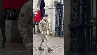 Troopers walking at the Horse Guard #highlights #horse #travel