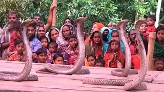 Traditional Snake Dance Festival | Nag Nagin Dance | Jhapan Khela
