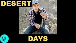 Lyric Video In Kuwait | DESERT DAYS | Indie Folk Music in 2021 by Yusif