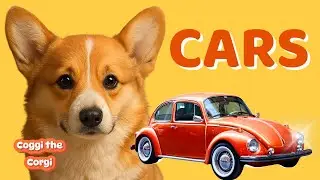 Cars I Kids Learning with Coggi the Corgi I Real videos, calm and slow watch