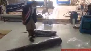 Rug Cleaners Moth Damage Process South Florida
