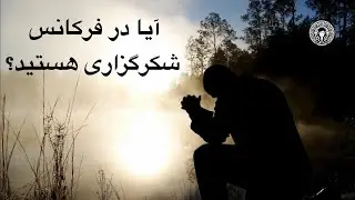 آیا در فرکانس شکرگزاری هستید؟