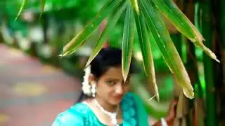 Kerala wedding vdo highlights 2020(Devipriya +Ratheesh)vrindavanam convention centre palode...