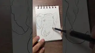 How to draw elephant face | elephant drawing #drawingtutorial #youtubeshorts #shorts