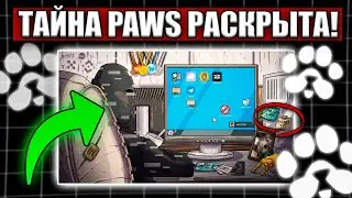 When is the PAWS Listing? Mystery from the Team Revealed!