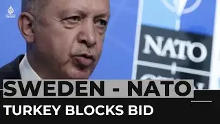 Turkey approves Finland&rsquo;s NATO bid but blocks Sweden