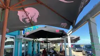 Beautiful day for lunch at The Turtle Shack in Flagler Beach Dec 22, 2021