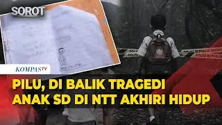 Behind the Tragic Incident of an Elementary School Student in NTT Ending His Life