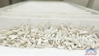 EKO 195 NUTS ROASTING MACHINE