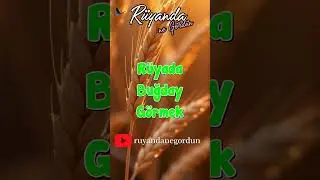 R&uuml;yada Buğday G&ouml;rmek