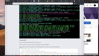 PhoenixMiner 4.0b - Обзор, настройка phoenix miner // Решение ошибки  opencl -38 -61 для 4GB карт