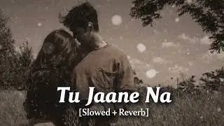 Tu Jaane Na (Slowed + Reverb) | Atif Aslam | Ranbir Kapoor | Aesthetic Lofi
