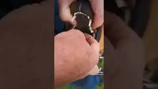 Teeth examination explained by Gerard O'shea